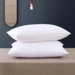 Filled Pillow and Cushion